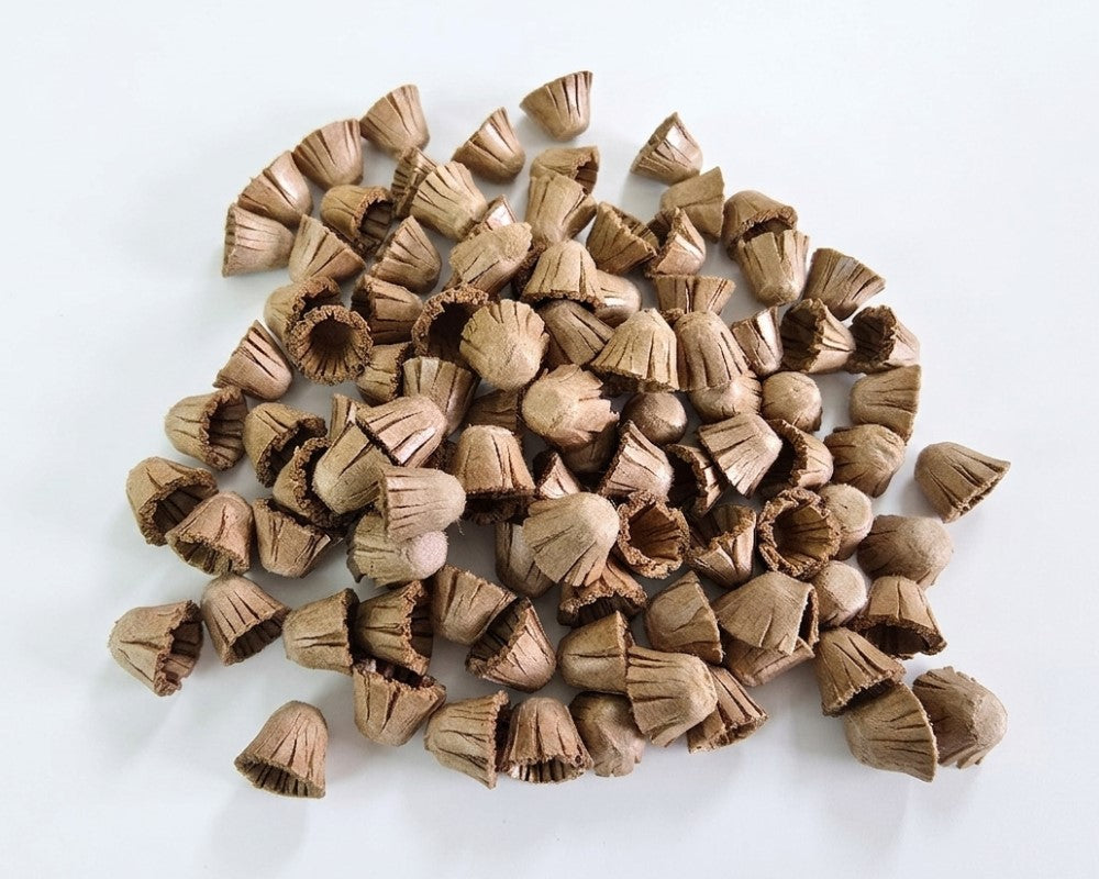 100pc Paper Plugs 1/4"