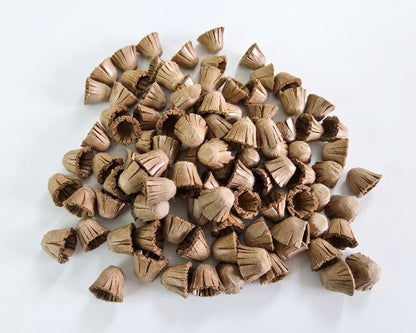 100pc Paper Plugs 1/4"